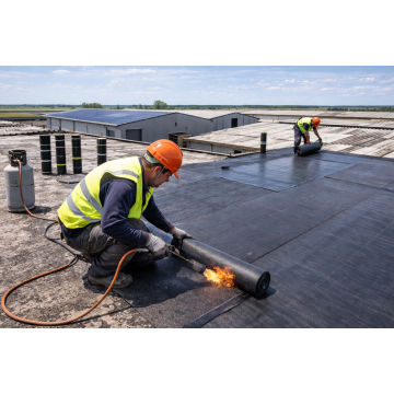 Rigenerazione guaina tetti...