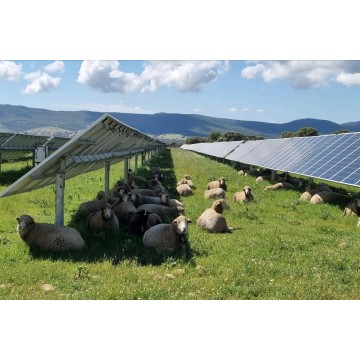 Agrovoltaico estensivo