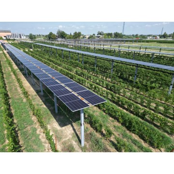 Agrovoltaico per colture...