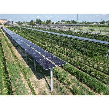 Agrivoltaico a filari