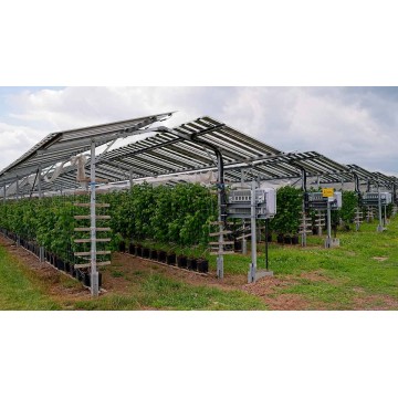 Agrivoltaico elevato
